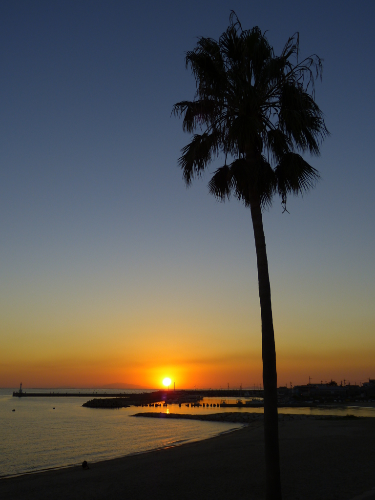 沈む夕日、褐色の海へ