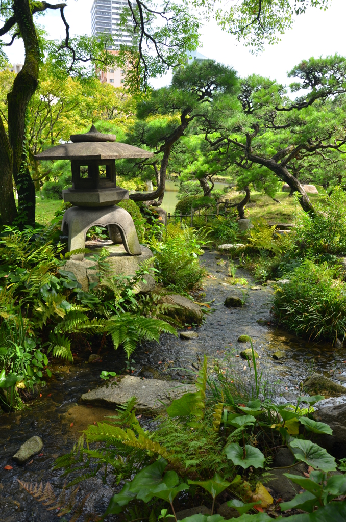 初夏の日本庭園