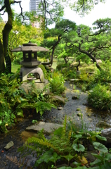 初夏の日本庭園