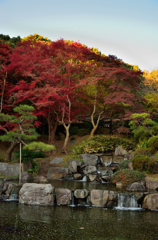 日本の紅葉風景
