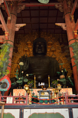 東大寺大仏
