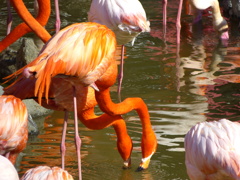 王子動物園_01