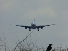 伊丹空港（ITM）_021
