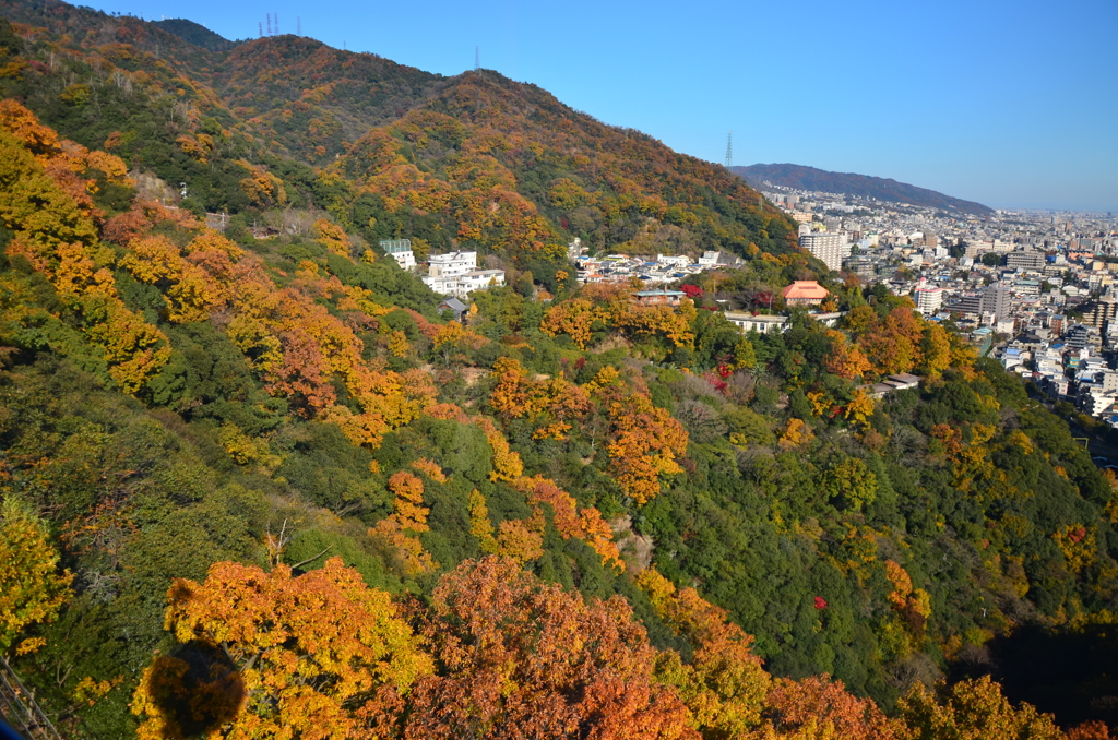 神戸布引