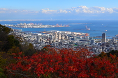 紅葉と神戸