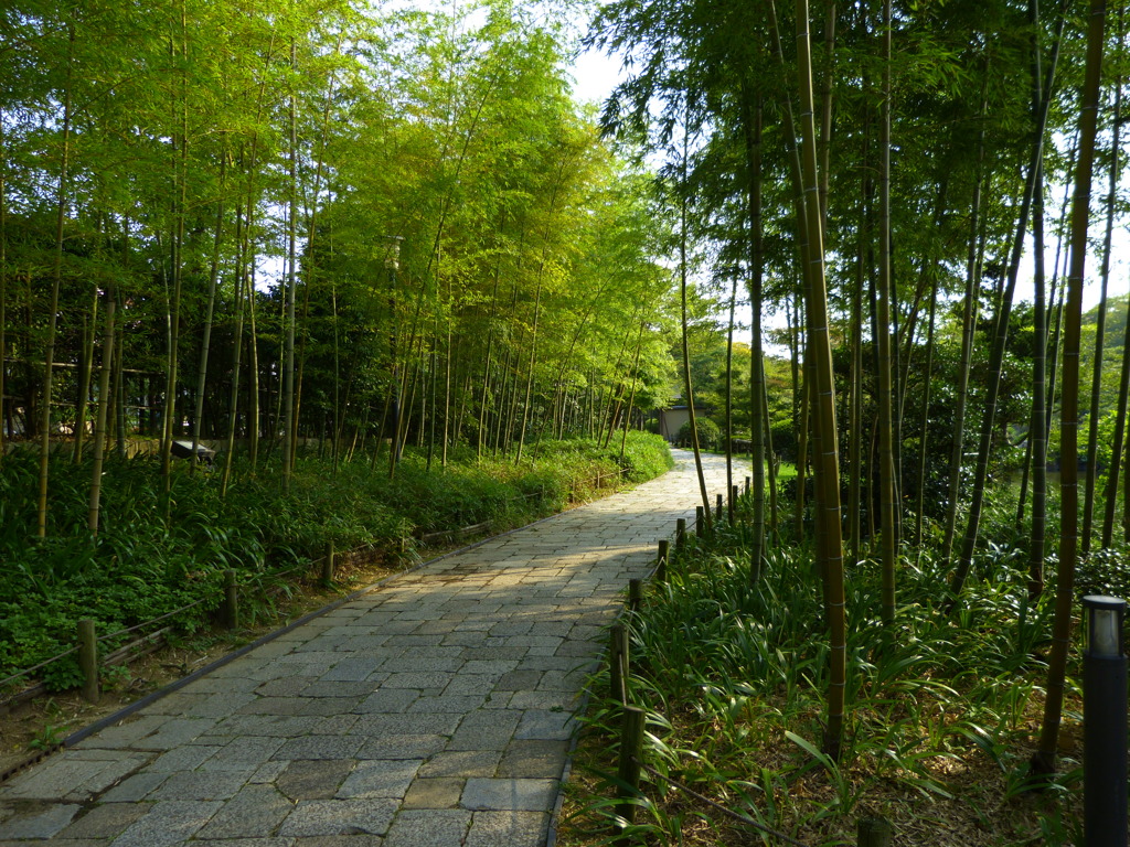神戸しあわせの村散策路