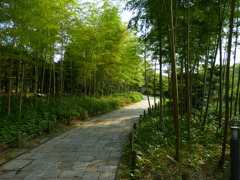 神戸しあわせの村散策路