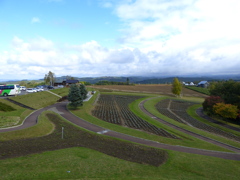 美瑛風景08