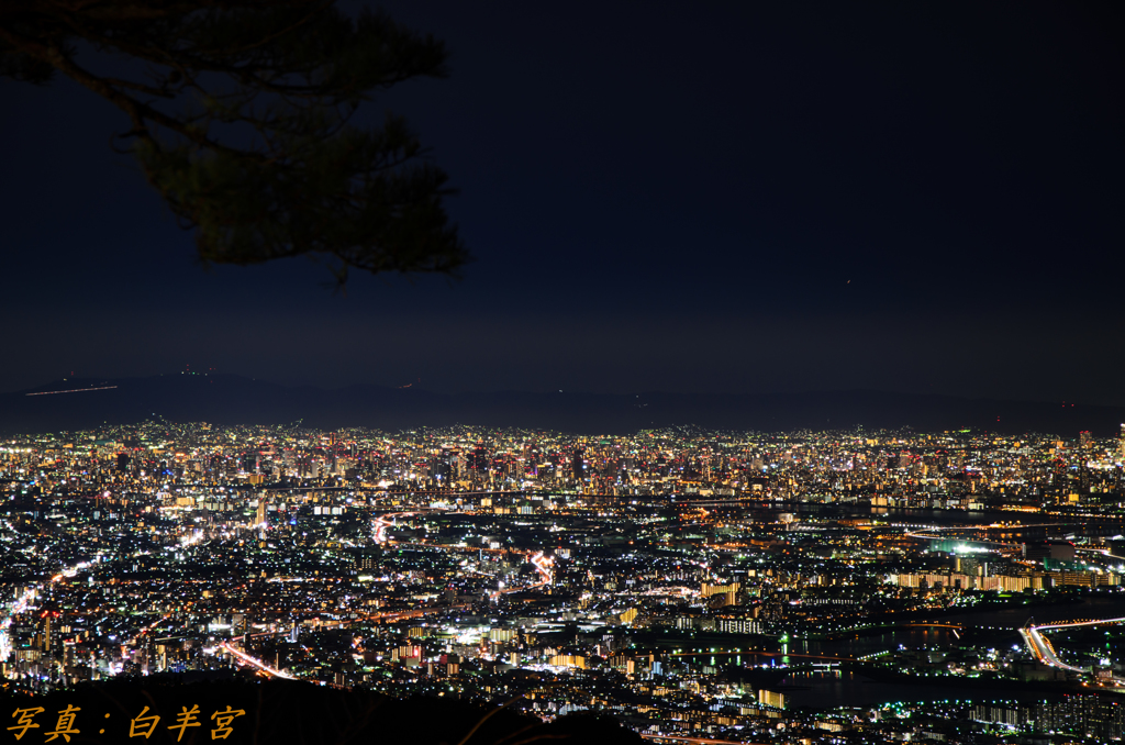 阪神夜景