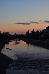 鴨川夕景