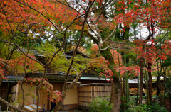 哲学の道_10
