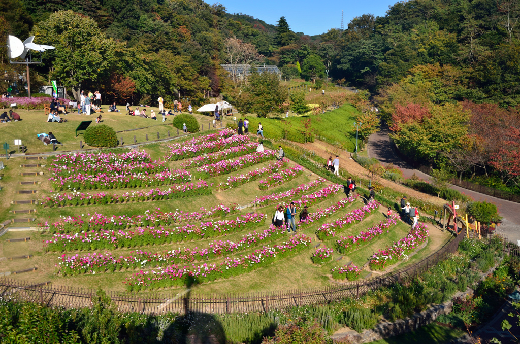 ハーブ園の花ひろば