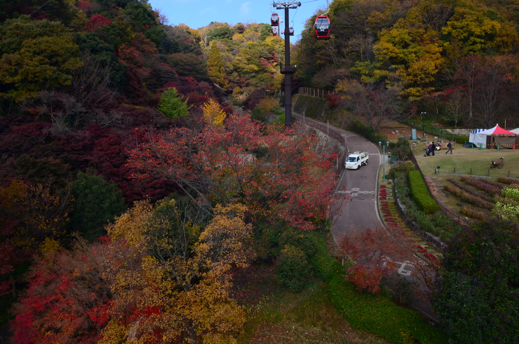 ハーブ園の紅葉