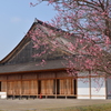 篠山城_05