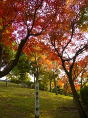 三重県in兵庫