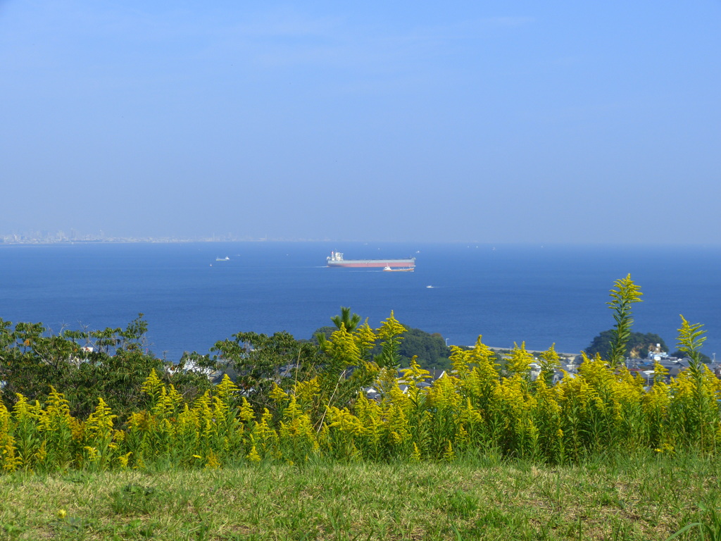 長閑な風景