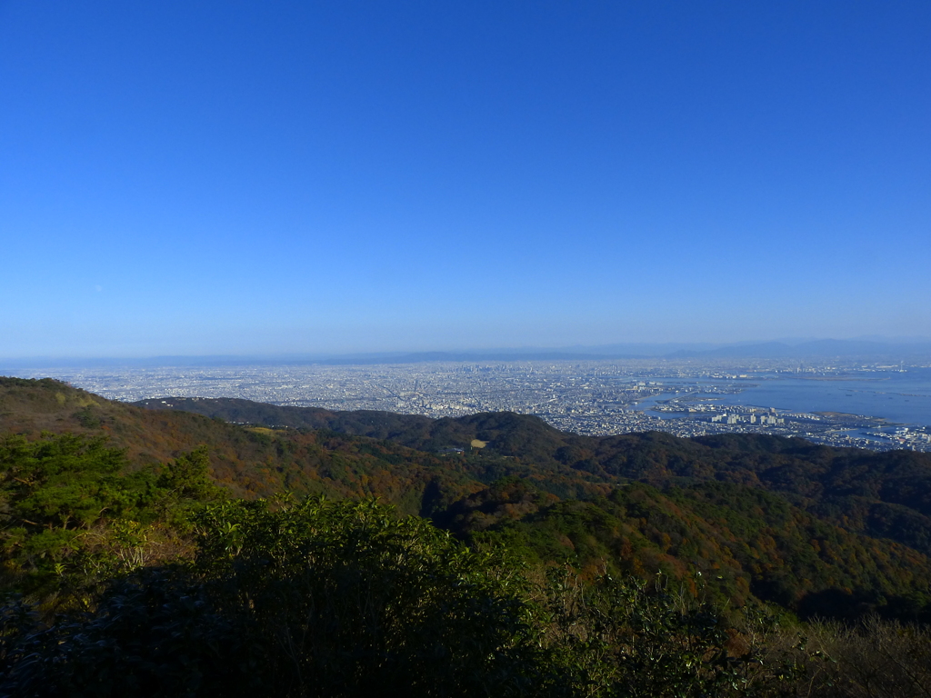 大阪平野01