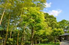 日本庭園_02