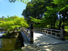 初夏の散歩道