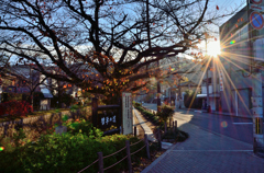 哲学の道_01