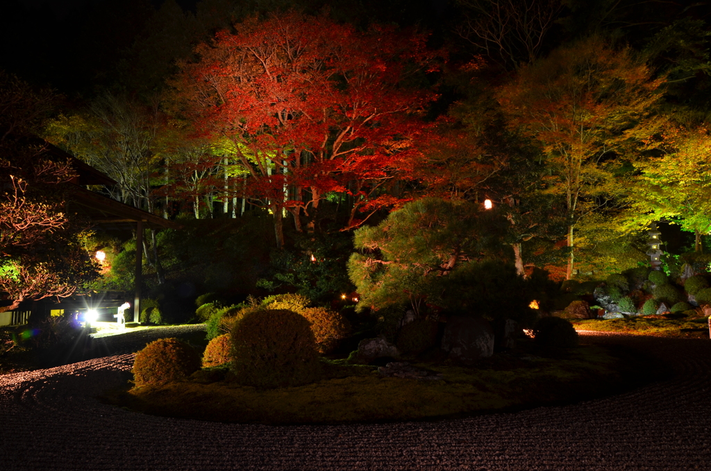 庭園の夜