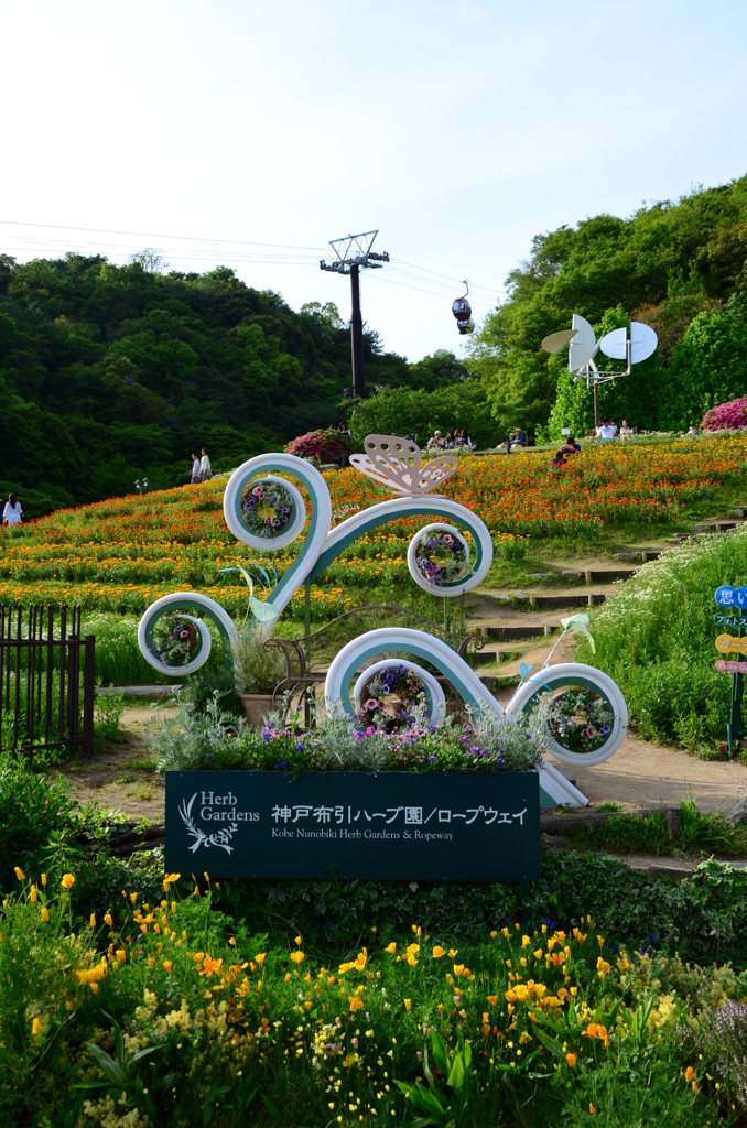 春のハーブ園風の丘