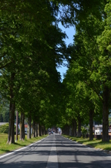 清涼感