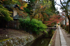哲学の道_09