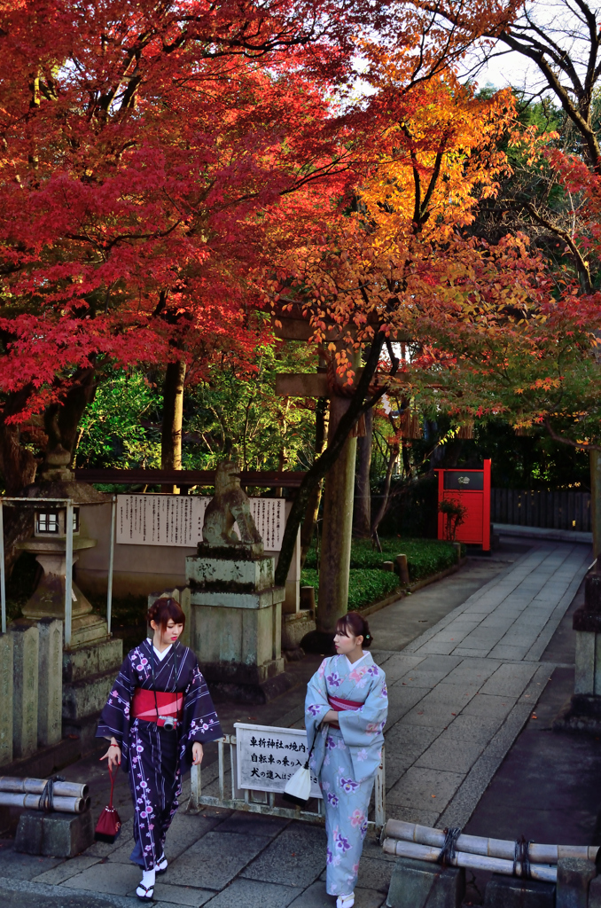 紅葉と女性