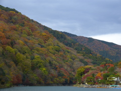 山の紅葉