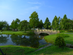 鮮やかな夏