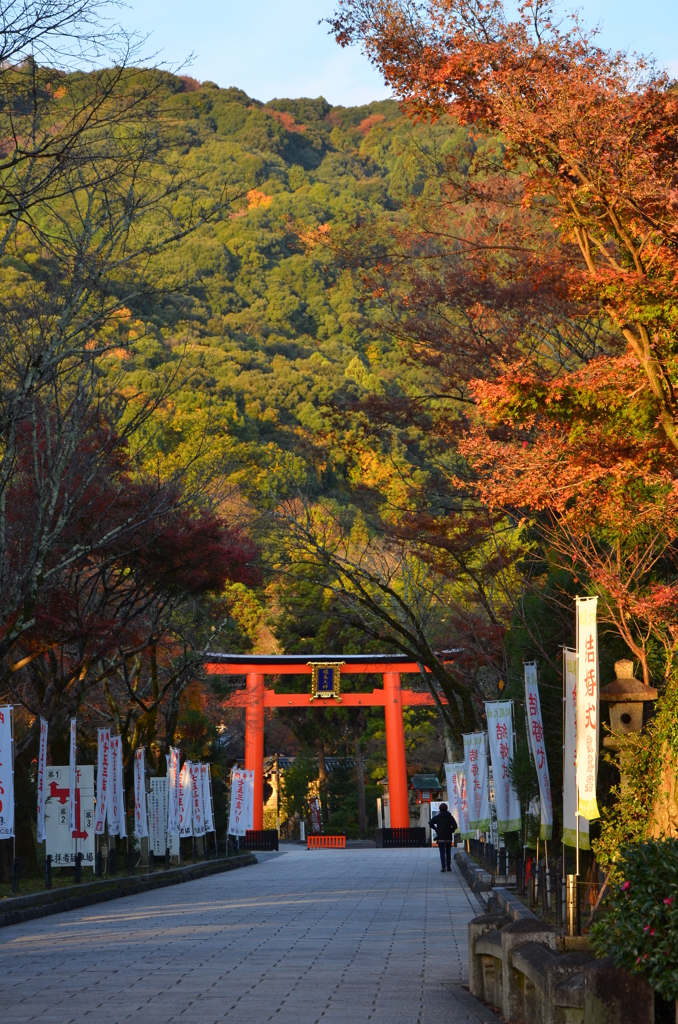 松尾大社参道