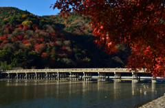 晩秋の渡月橋