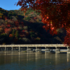 晩秋の渡月橋