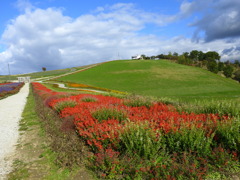 上富良野風景02