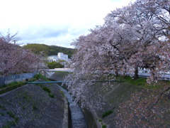 また来年