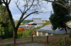 哲学の道_08