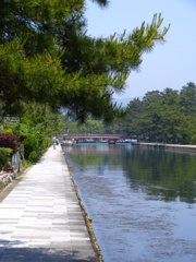 天橋立_004