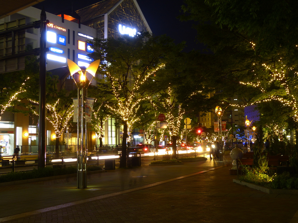 明るい歩道