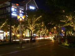 明るい歩道