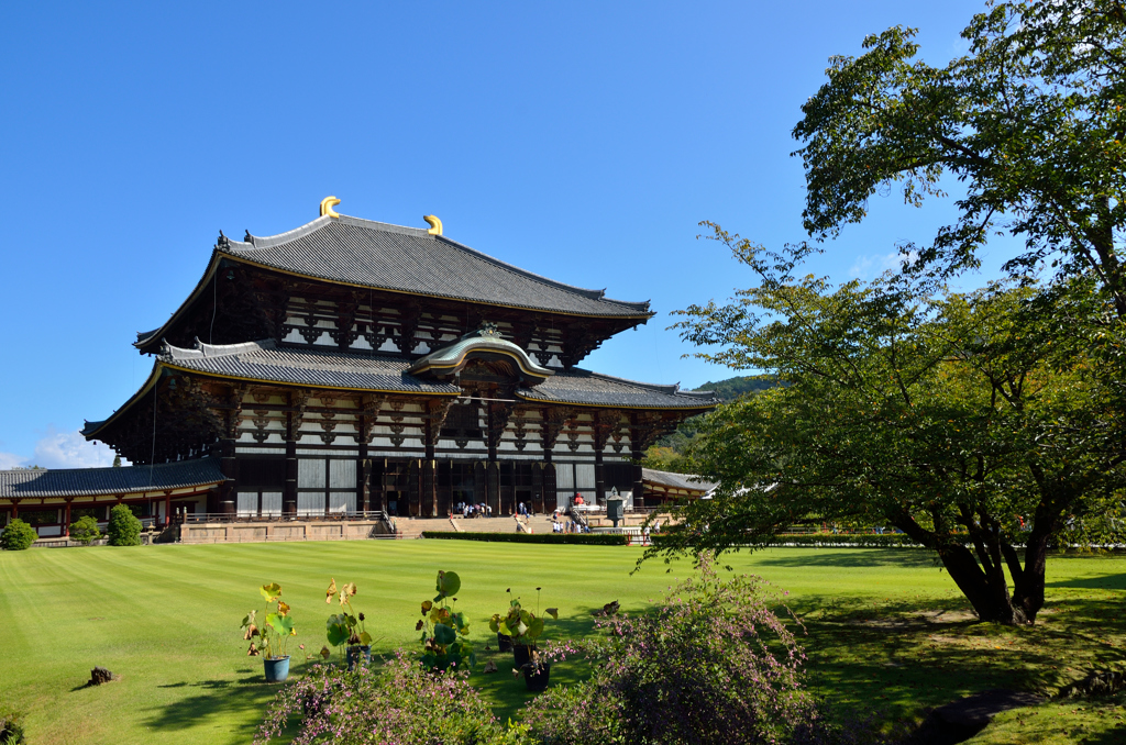 東大寺_03