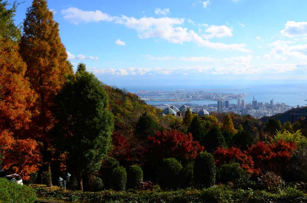 ハーブ園からの風景