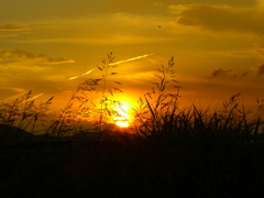 草原の夕日