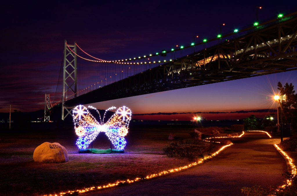 舞子公園ライトアップ