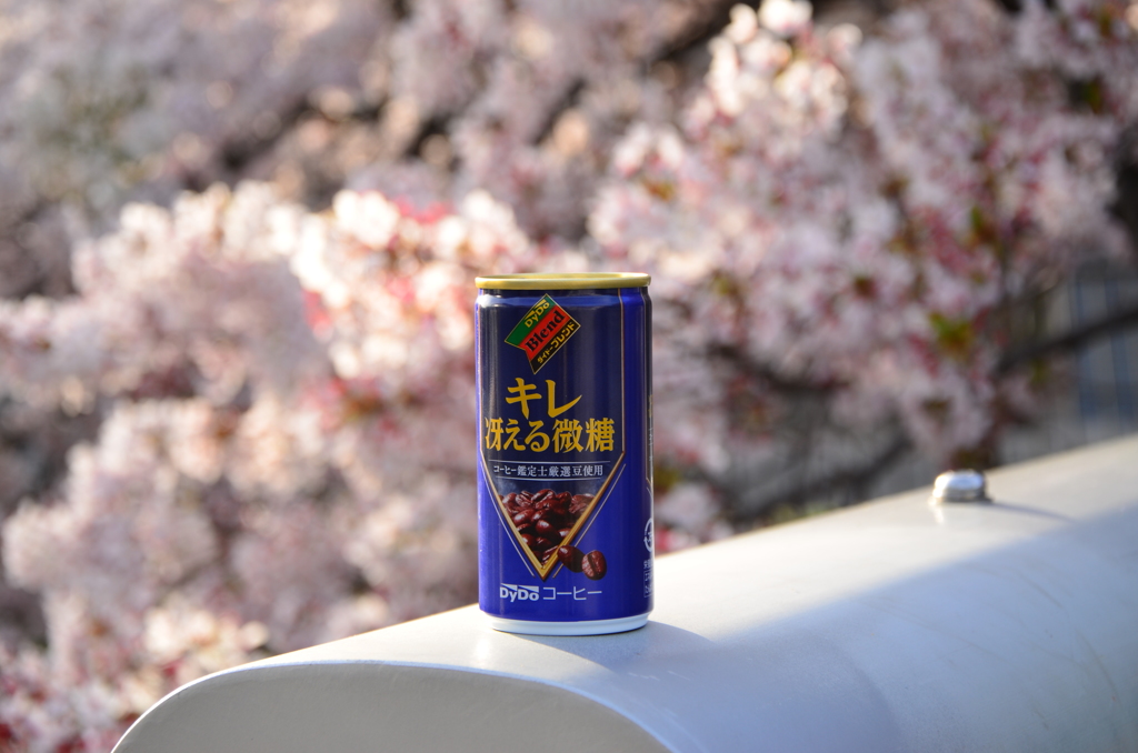 花_084（2016桜）