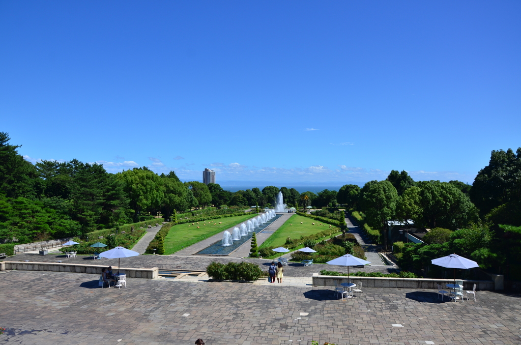夏の青空