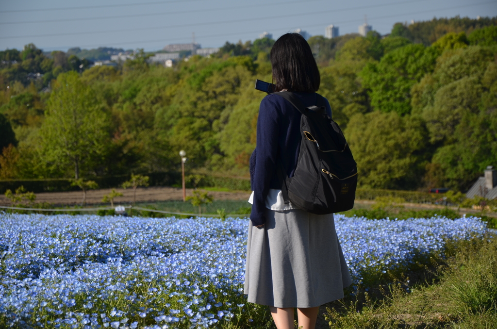 花を撮る