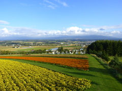 上富良野風景18