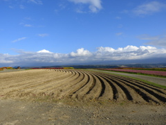 上富良野風景09