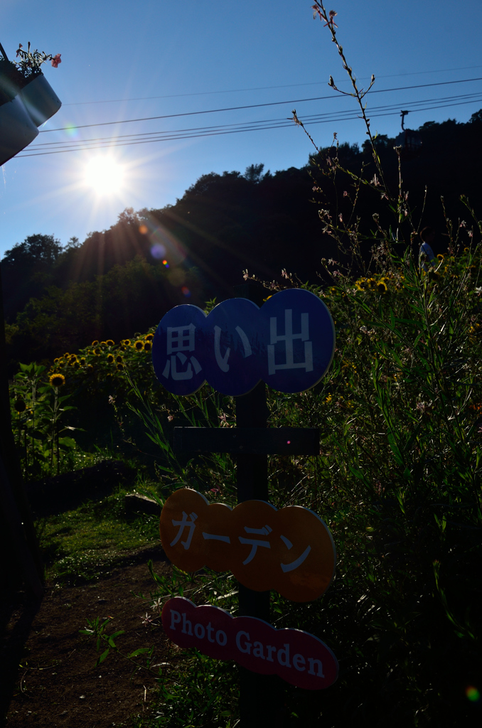 夏の思い出